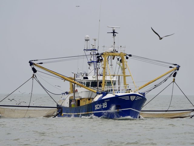 SCH18 Boeier Met Garnalennetten